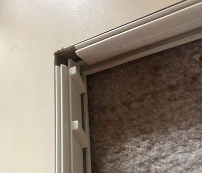 黄瓜视频在线看